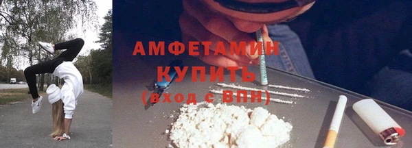 прущие грибы Богданович
