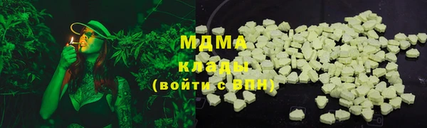 прущие грибы Богданович