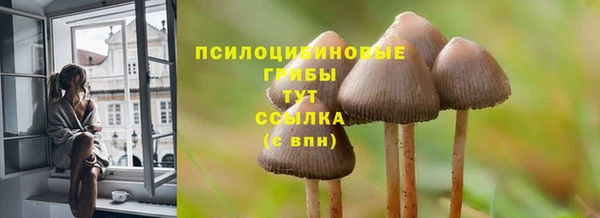 прущие грибы Богданович