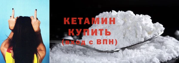 прущие грибы Богданович