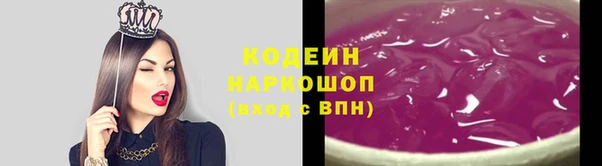 прущие грибы Богданович