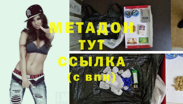 прущие грибы Богданович