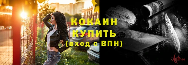 прущие грибы Богданович