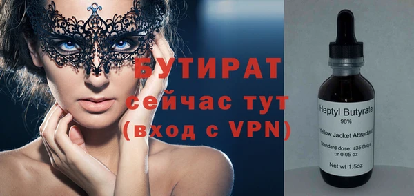 прущие грибы Богданович