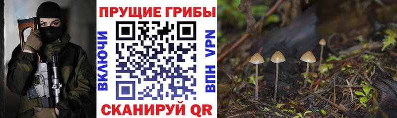 Псилоцибиновые грибы прущие грибы  Нелидово 